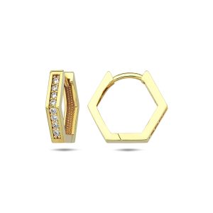 10K Gold Hoop Earrings EE1308
